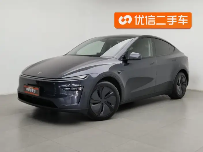 Model Y 2025 Model Rear-wheel drive version – фото 1