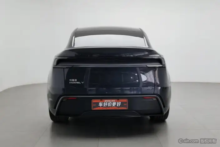 Model Y 2025 Model Rear-wheel drive version – фото 3