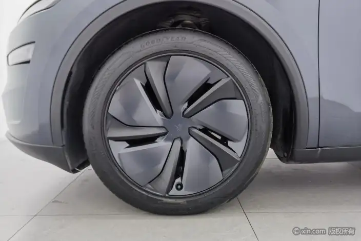Model Y 2025 Model Rear-wheel drive version – фото 11