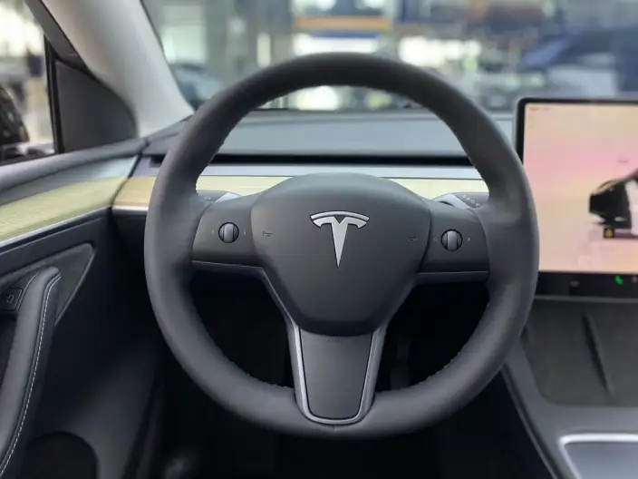 Model Y 2022 Model Facelift Long Battery Life Pro All-wheel drive version – фото 23