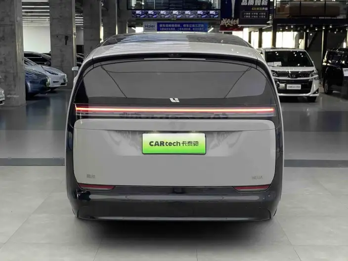 Li Auto MEGA 2025 Model Home Family Special Edition – фото 4