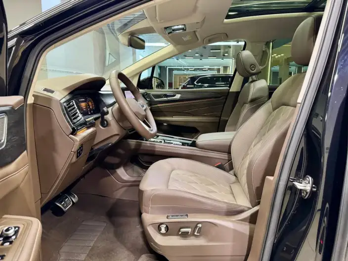 Viloran 2024 Model 380TSI Premium Edition – фото 24
