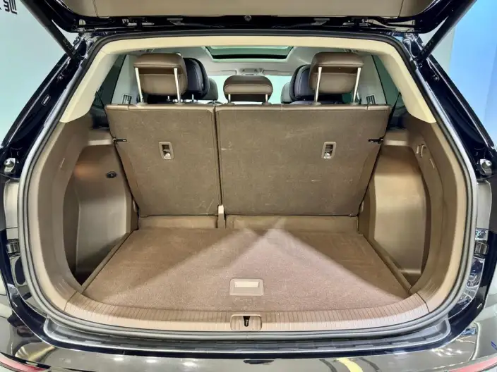 Viloran 2024 Model 380TSI Premium Edition – фото 29