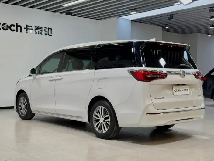 Buick GL8 2023 Model ES Luzun 2.0T Exclusive Model – фото 33