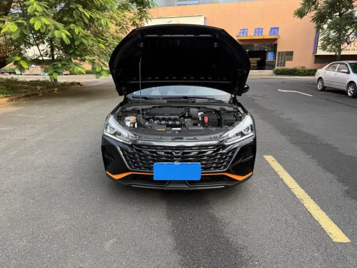 Yixuan 2023 Model Mach Version 1.5L Automatic Chasing the Wind version – фото 10