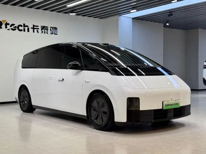 Li Auto MEGA 2025 Model Home Family Special Edition – фото 2