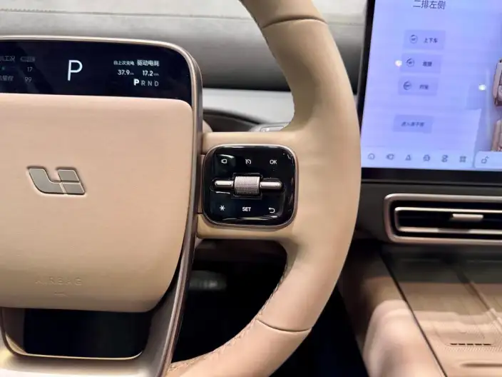 Li Auto MEGA 2025 Model Home Family Special Edition – фото 21