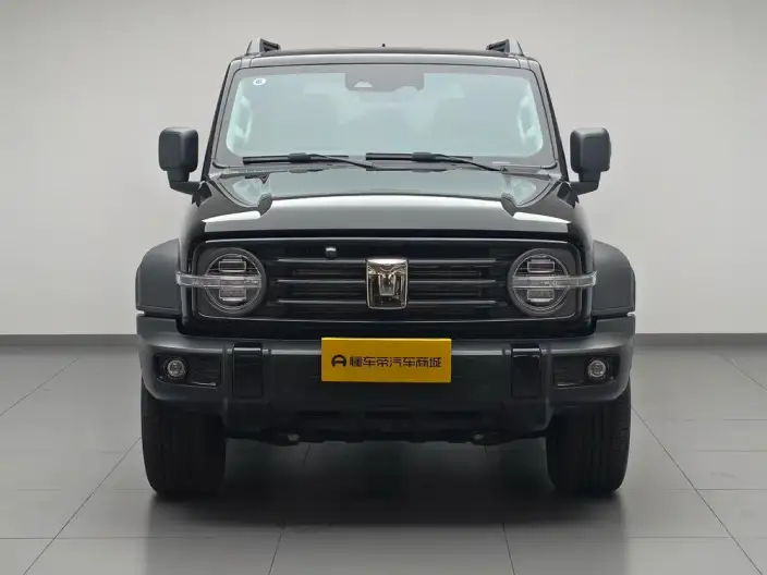 Tank 300 2025 Model 2.4T Diesel Edition – фото 2