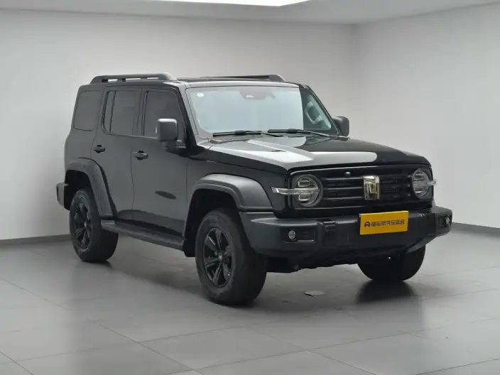 Tank 300 2025 Model 2.4T Diesel Edition – фото 3