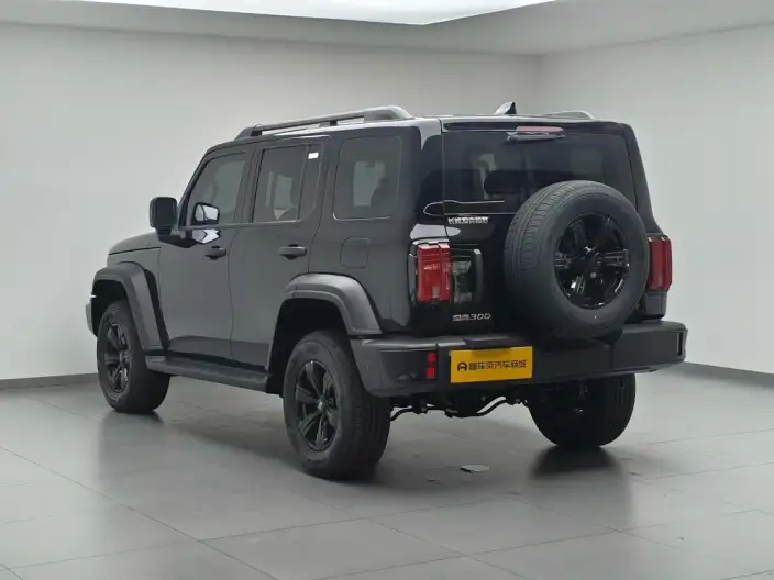 Tank 300 2025 Model 2.4T Diesel Edition – фото 5