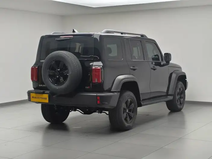 Tank 300 2025 Model 2.4T Diesel Edition – фото 7