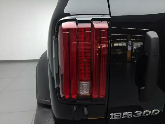 Tank 300 2025 Model 2.4T Diesel Edition – фото 13