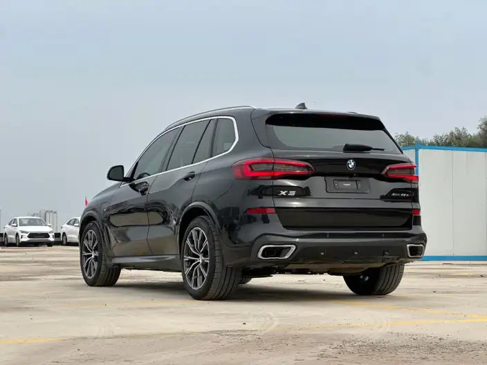 BMW X5 PHEV 2020 Model xDrive45e M Sports Set – фото 3