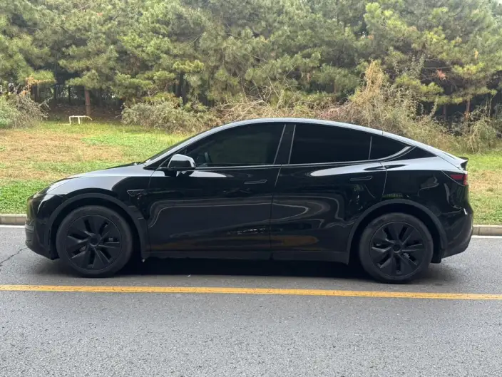 Model Y 2023 Model Long Battery Life Pro All-wheel drive version – фото 4