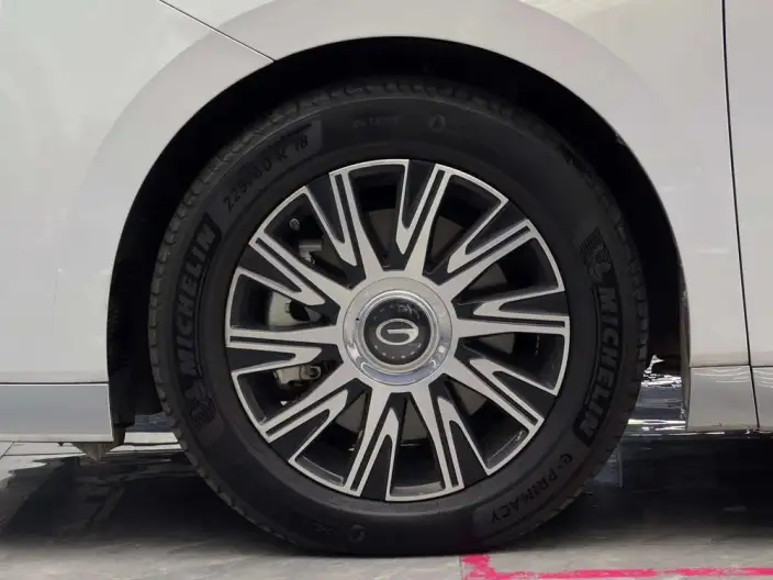 GAC Trumpchi E9 PHEV 2024 Model 2.0TM Champion Edition – фото 7