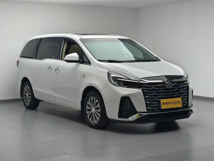 Buick GL8 2023 Model Business class 2.0T Luxury Model – фото 3