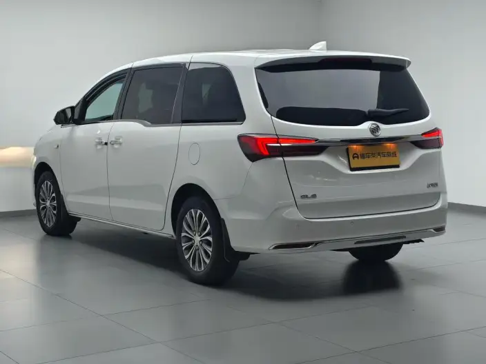Buick GL8 2023 Model Business class 2.0T Luxury Model – фото 5