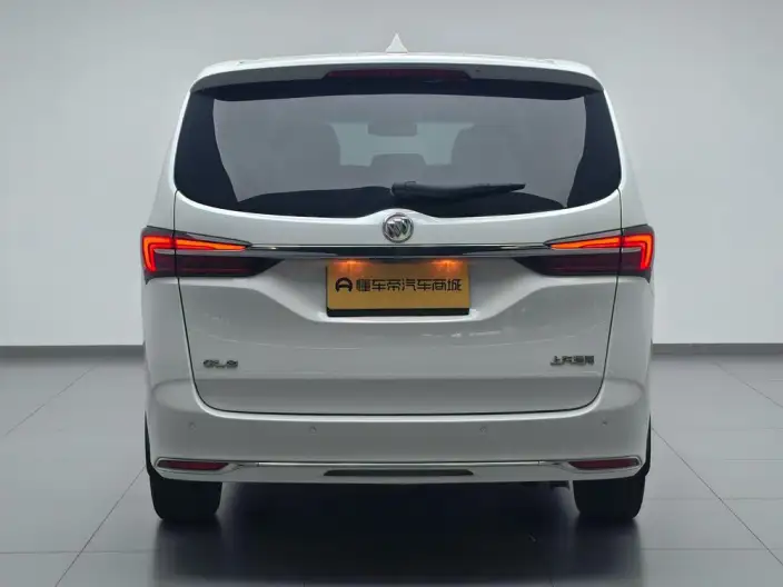 Buick GL8 2023 Model Business class 2.0T Luxury Model – фото 6