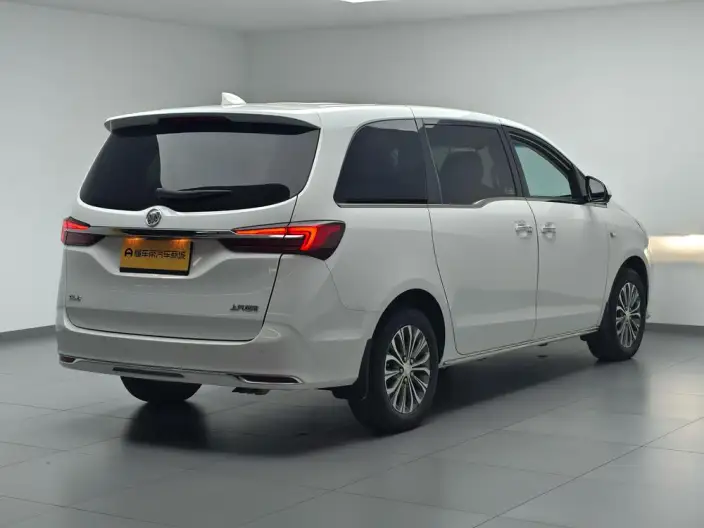 Buick GL8 2023 Model Business class 2.0T Luxury Model – фото 7