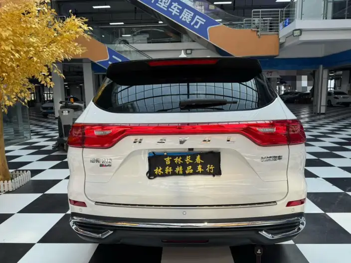 Haval M6 2023 Model PLUS 1.5T DCT Luxury Smart Connect Model – фото 5