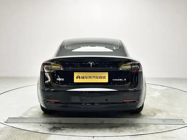 Model 3 2021 Model Standard Battery Life Rear Drive L Class Edition 3D1 – фото 6