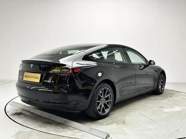 Model 3 2021 Model Standard Battery Life Rear Drive L Class Edition 3D1 – фото 7