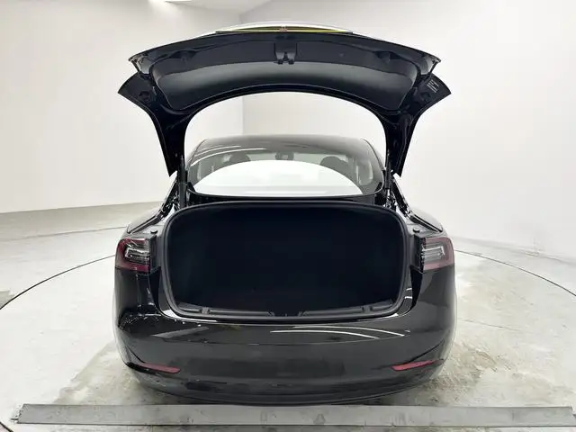Model 3 2021 Model Standard Battery Life Rear Drive L Class Edition 3D1 – фото 20