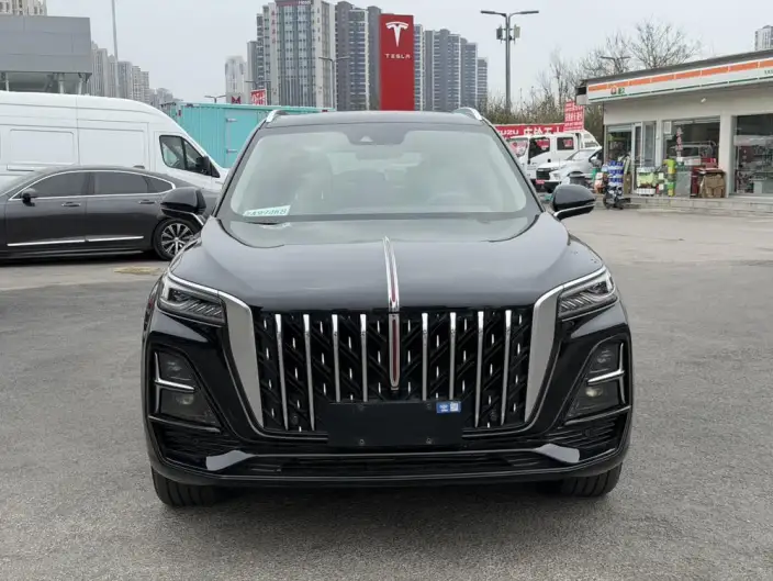 Hongqi HS5 2023 Model 2.0T 4WD Flag Xiang Pro Edition – фото 2