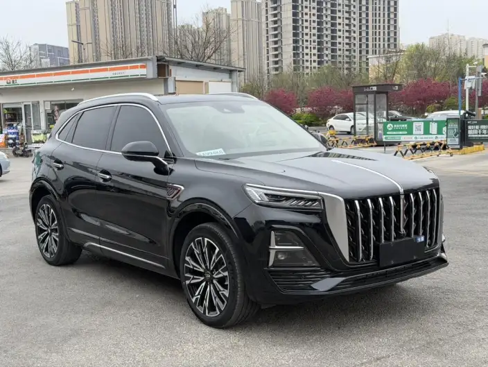 Hongqi HS5 2023 Model 2.0T 4WD Flag Xiang Pro Edition – фото 3