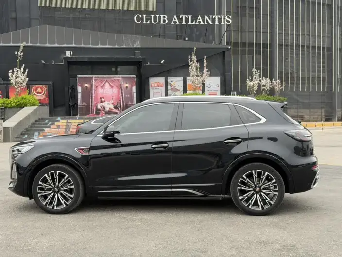 Hongqi HS5 2023 Model 2.0T 4WD Flag Xiang Pro Edition – фото 4
