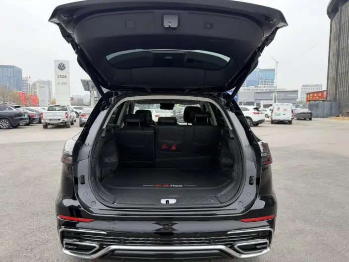 Hongqi HS5 2023 Model 2.0T 4WD Flag Xiang Pro Edition – фото 11