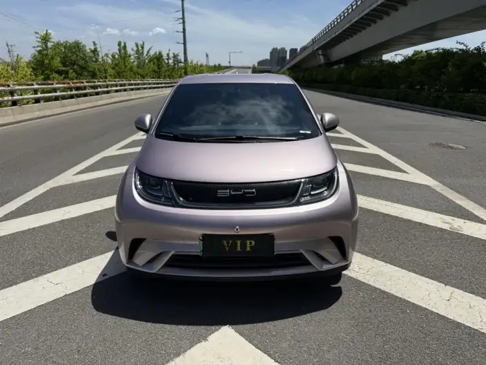 BYD Dolphin 2023 Model Free Edition – фото 2