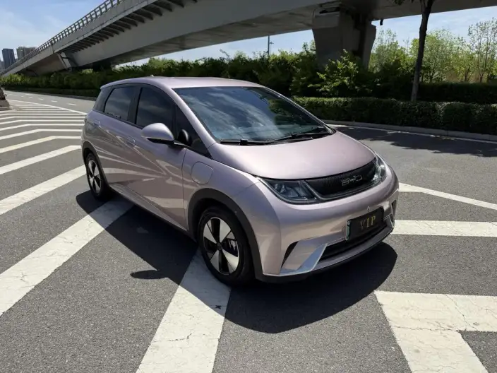 BYD Dolphin 2023 Model Free Edition – фото 3