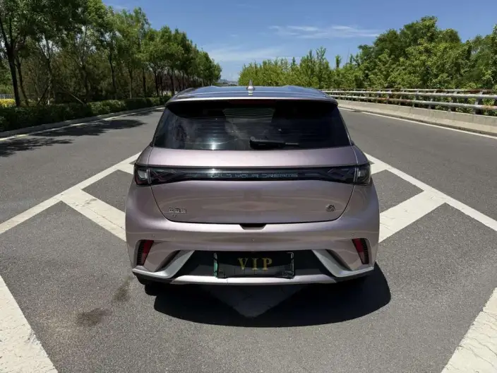 BYD Dolphin 2023 Model Free Edition – фото 5