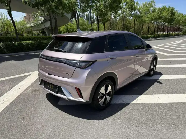 BYD Dolphin 2023 Model Free Edition – фото 6
