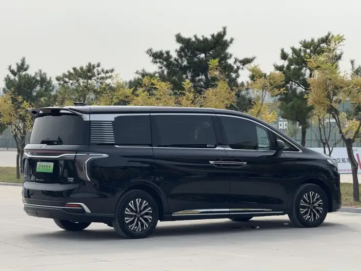 HONGQI HQ9 PHEV 2024 Model 4WD Business Edition – фото 6