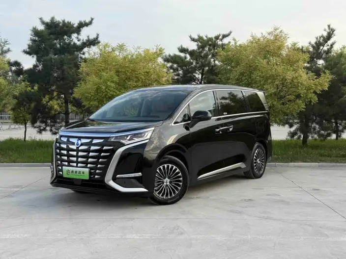 DENZA D9 DM 2022 Model 970 4WD Zunrong Model – фото 1