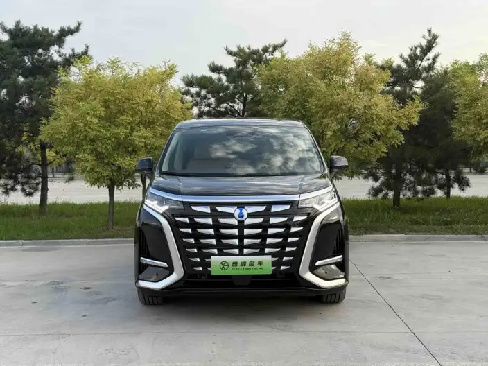 DENZA D9 DM 2022 Model 970 4WD Zunrong Model – фото 2