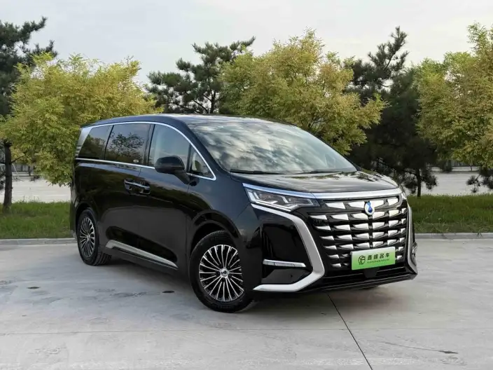 DENZA D9 DM 2022 Model 970 4WD Zunrong Model – фото 3