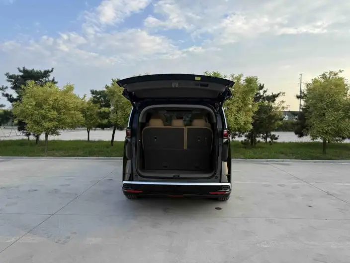 DENZA D9 DM 2022 Model 970 4WD Zunrong Model – фото 14