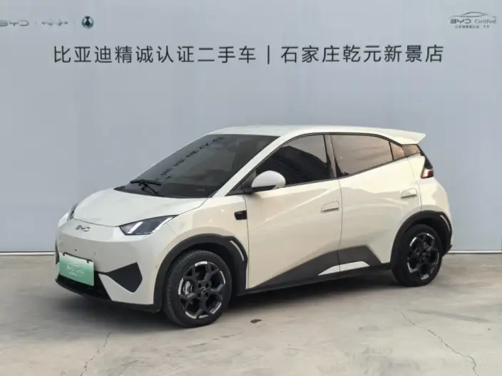 BYD Seagull 2025 Model Smart Driving Edition 405KM Feixiang Edition – фото 1