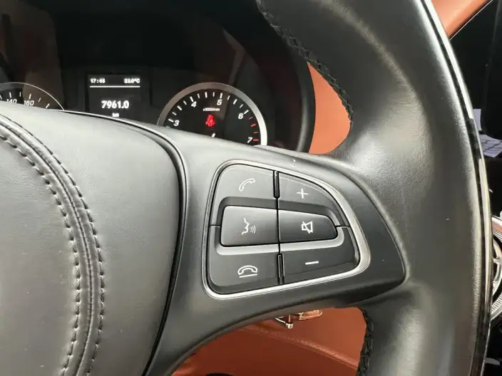 Viano 2023 Model 2.0T Elite Edition 7 seat – фото 16