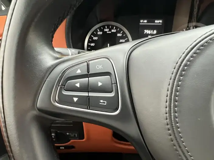 Viano 2023 Model 2.0T Elite Edition 7 seat – фото 30