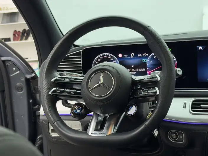 Mercedes-Benz GLE AMG 2024 Model AMG GLE 53 4MATIC+ – фото 15