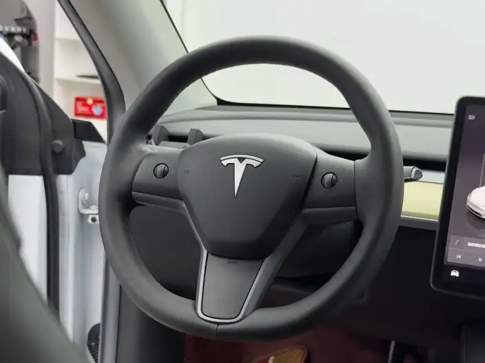 Model Y 2022 Model Performance High performance All-wheel drive version – фото 11