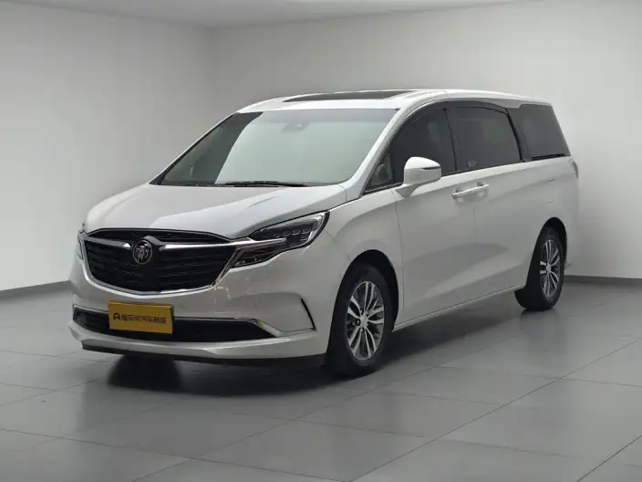 Buick GL8 2021 Model ES Luzun 653T Exclusive Model – фото 1