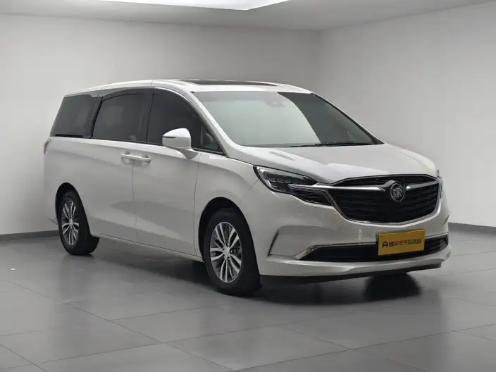 Buick GL8 2021 Model ES Luzun 653T Exclusive Model – фото 3