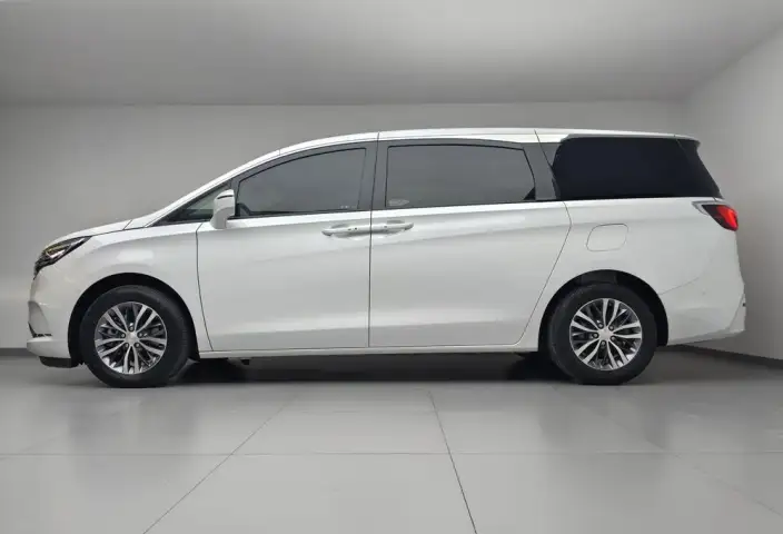 Buick GL8 2021 Model ES Luzun 653T Exclusive Model – фото 4