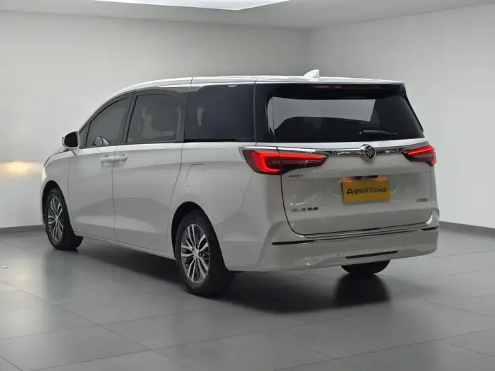 Buick GL8 2021 Model ES Luzun 653T Exclusive Model – фото 5