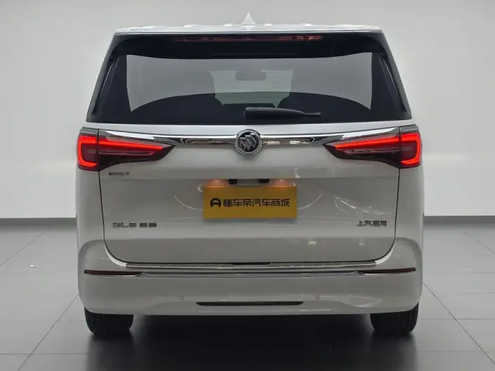 Buick GL8 2021 Model ES Luzun 653T Exclusive Model – фото 6